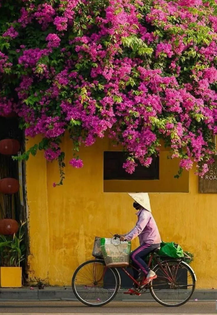 Hoi An Spirit Homestay